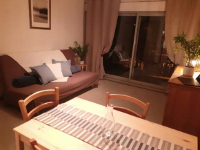Appartement Front de neige WIFI Résidence Le Tyrol 4 personnes